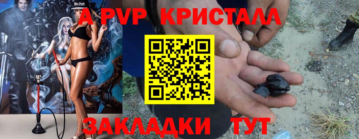 A PVP СК Ногинск