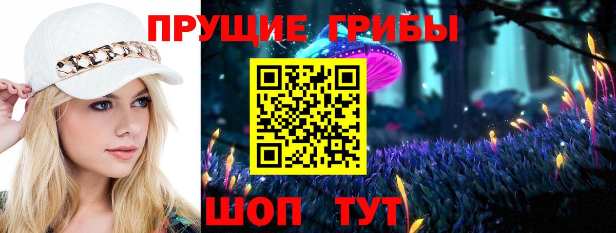 Псилоцибиновые грибы мицелий Ногинск
